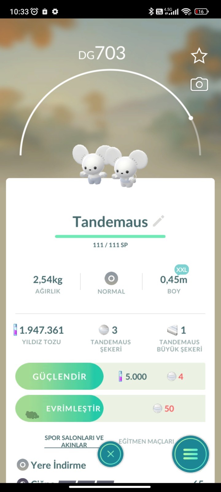 Pokemon XXL TRD Pokemon Go ✨