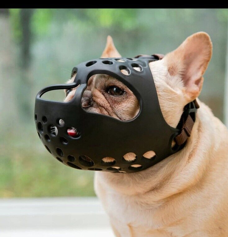 Dog Muzzle Basket Breathable | Prevent Biting Chewing & Barking Allows Drinking