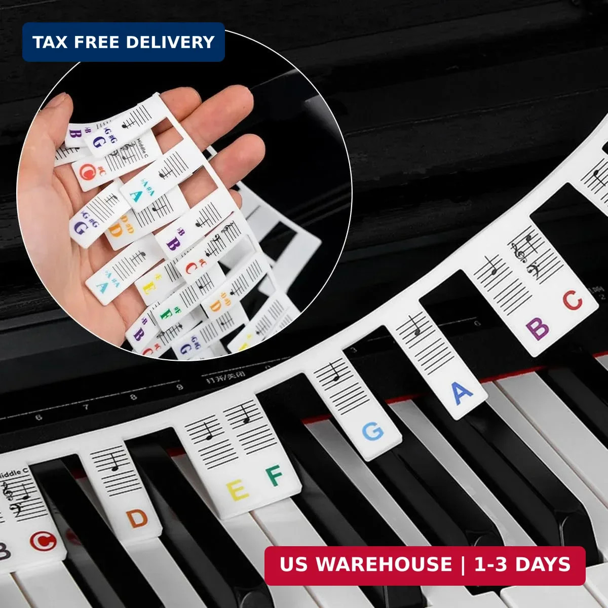 Removable Piano Keyboard Note Labels, 88 Keys for Beginners Note Guides, Made of