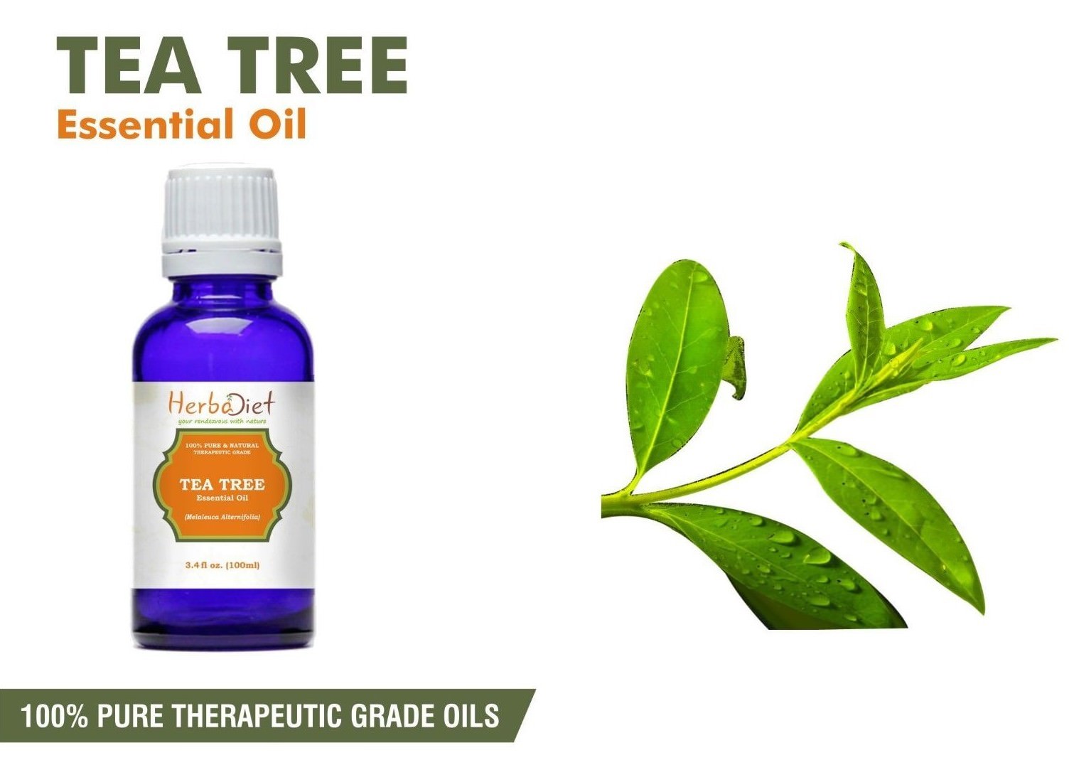 Tea Tree Essential Oil 100% Pure Natural Aromatherapy Therapeutic Grade Oils