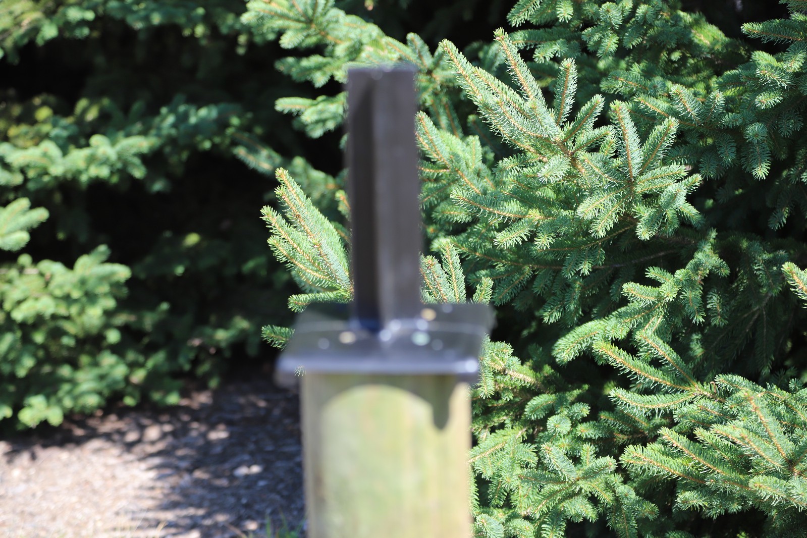 Corn deer feeder