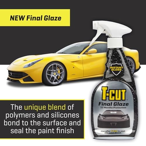 Final Glaze, Paint Sealant, 16.9 fl oz