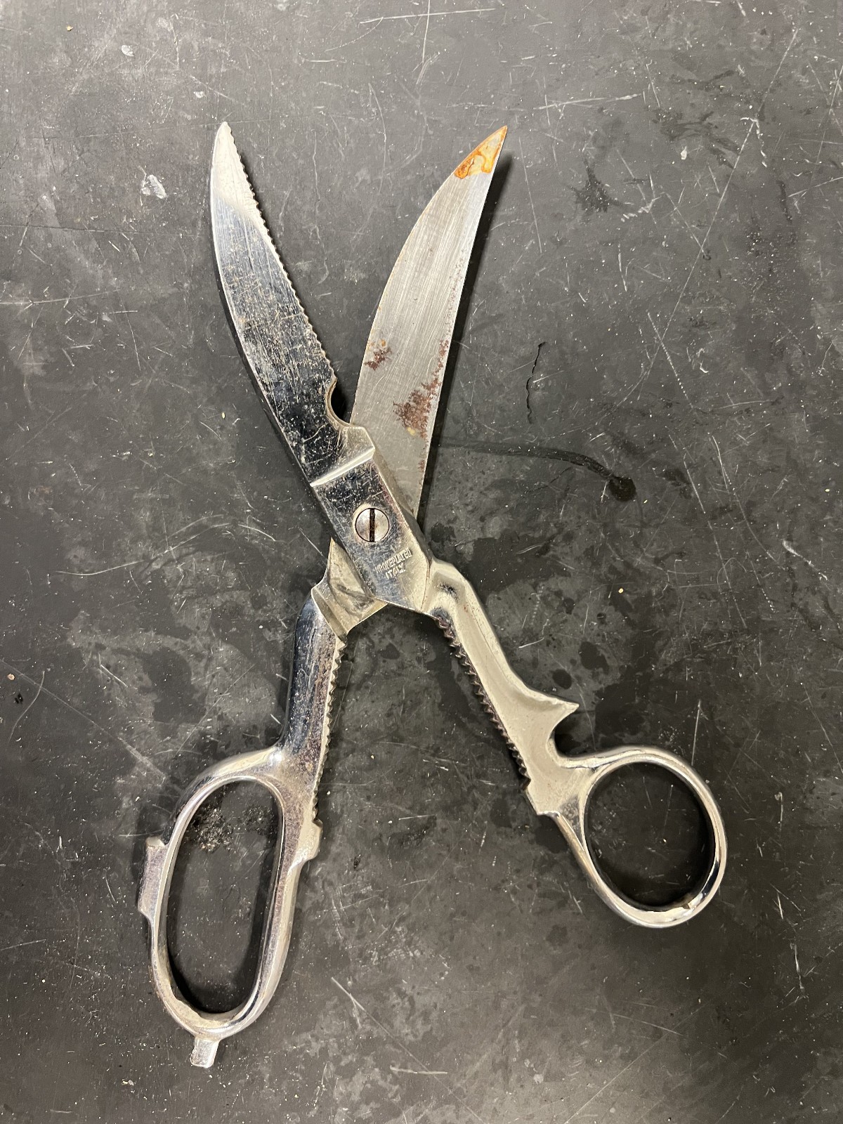 Vtg Poultry, Fish, Game Shears ~ SHARP ~ FREE SHIPPING!!!!
