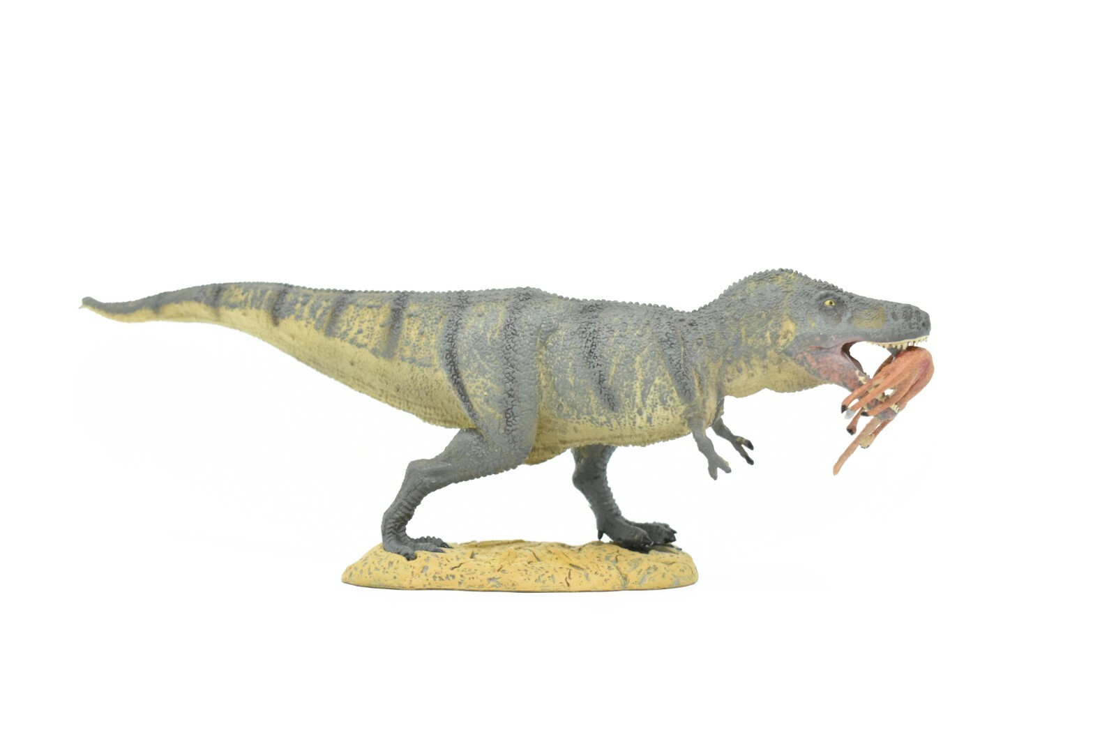 Tyrannosaurus rex, T. Rex, Dinosaur, with Prey Struthiomimus  10" -  F3515 B88