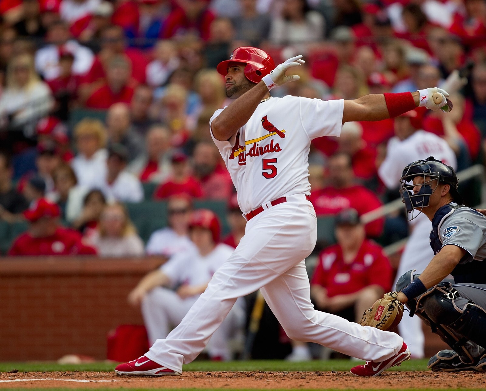 St Louis Cardinals Albert Pujols 8x10 Photo MLB Baseball Print #6