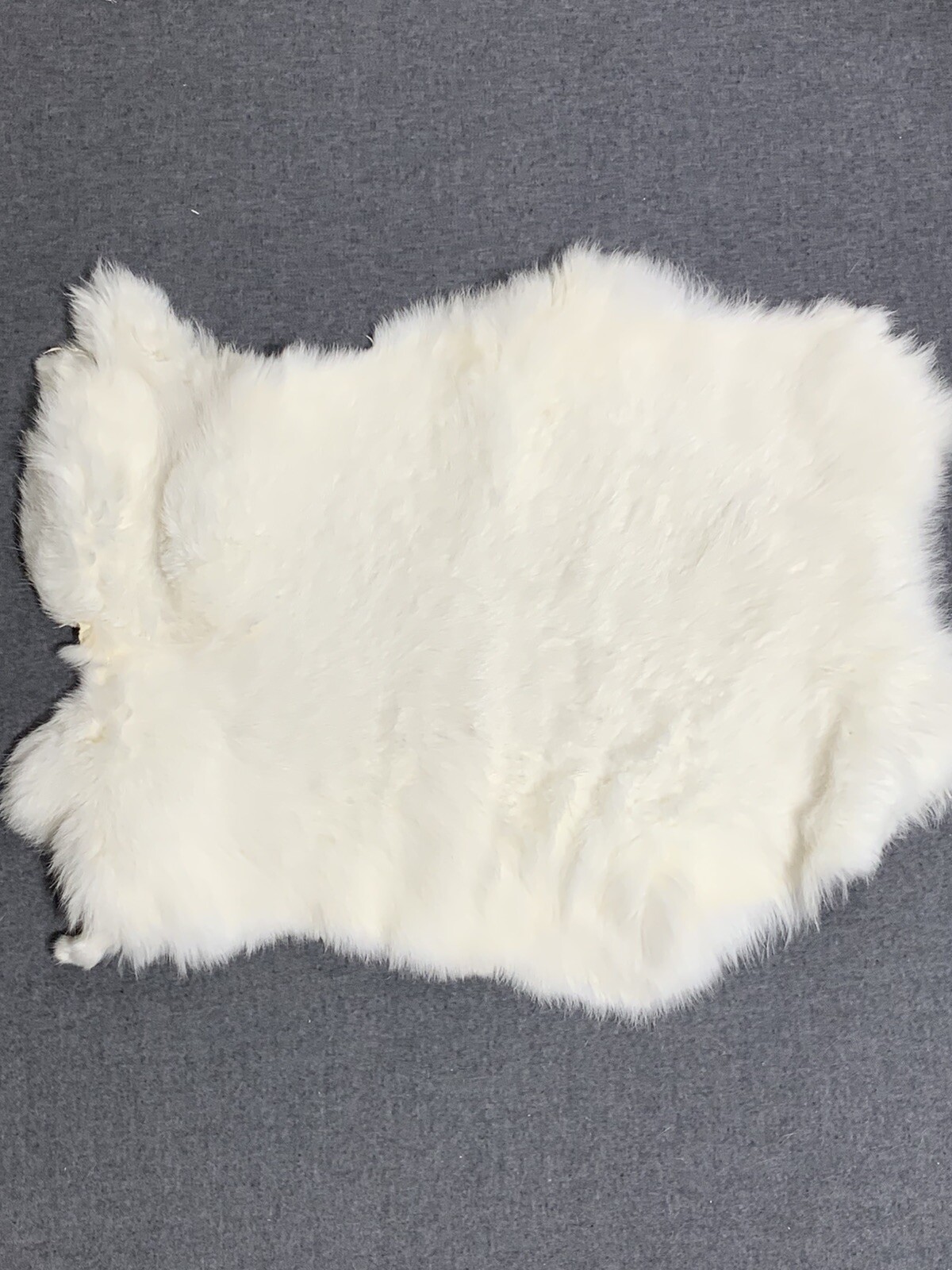 Printed Rabbit Pelt: Cougar