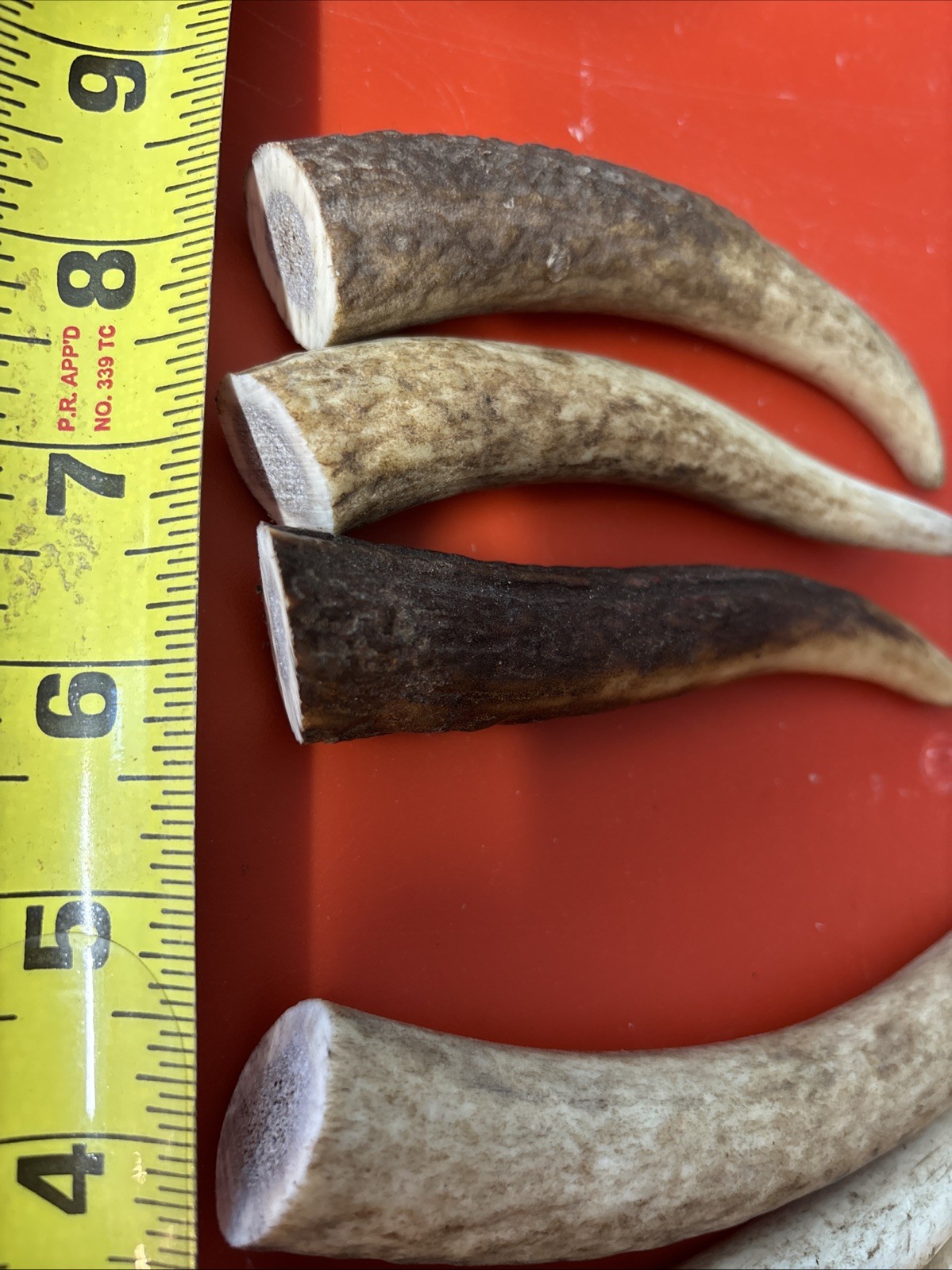 Lot-E128 Elk Antler Tips for Knife Material Handle Material