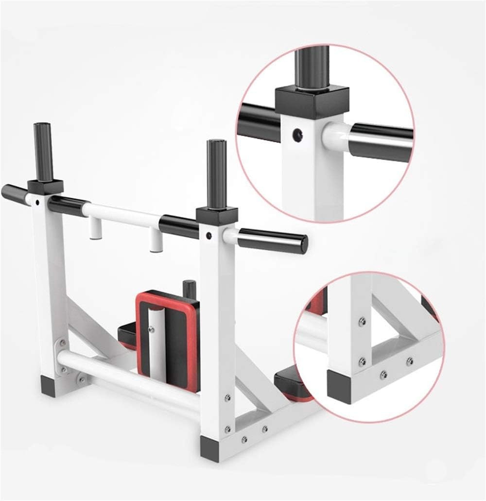 800lb Wall Pull Up Bar with Dip Station