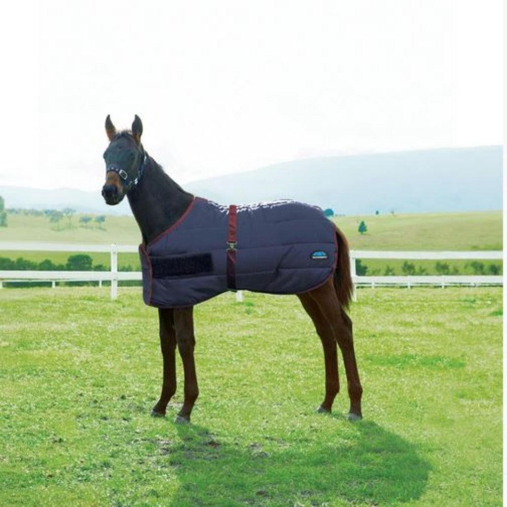 WeatherBeeta 420D Foal Standard Neck Medium - SALE