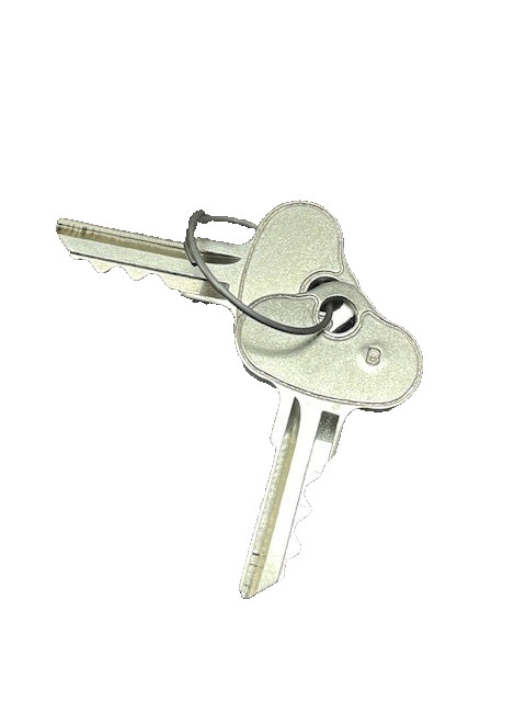 Set Lot of 2 OEM Club Car Golf Cart Ignition Key B 103234401 Diesel AWD keys NEW
