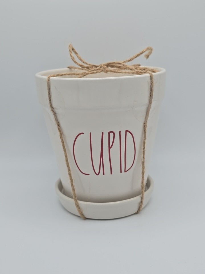 NWT Rae Dunn Artisan Cupid Valentine's Day Planter Holiday Decor Succulent