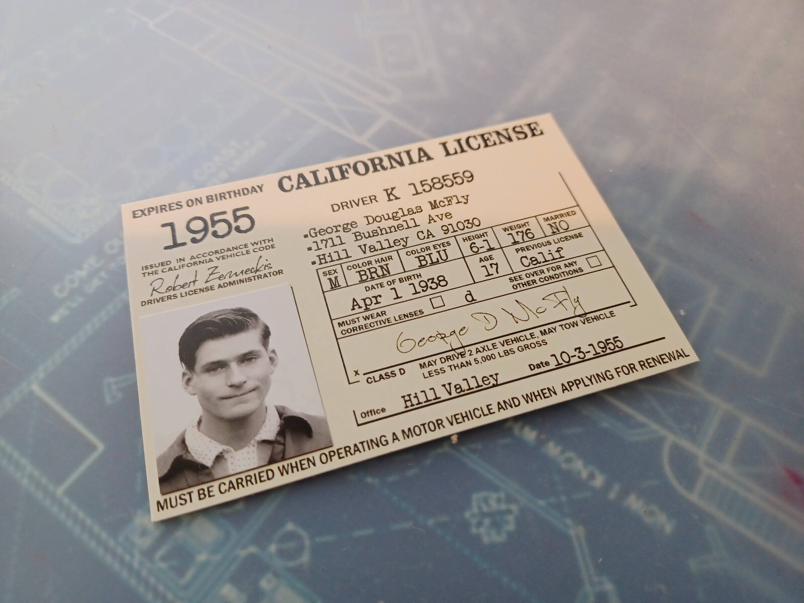 Back to the Future George Mcfly License Prop  Cosplay  Novelty Crispin Glover