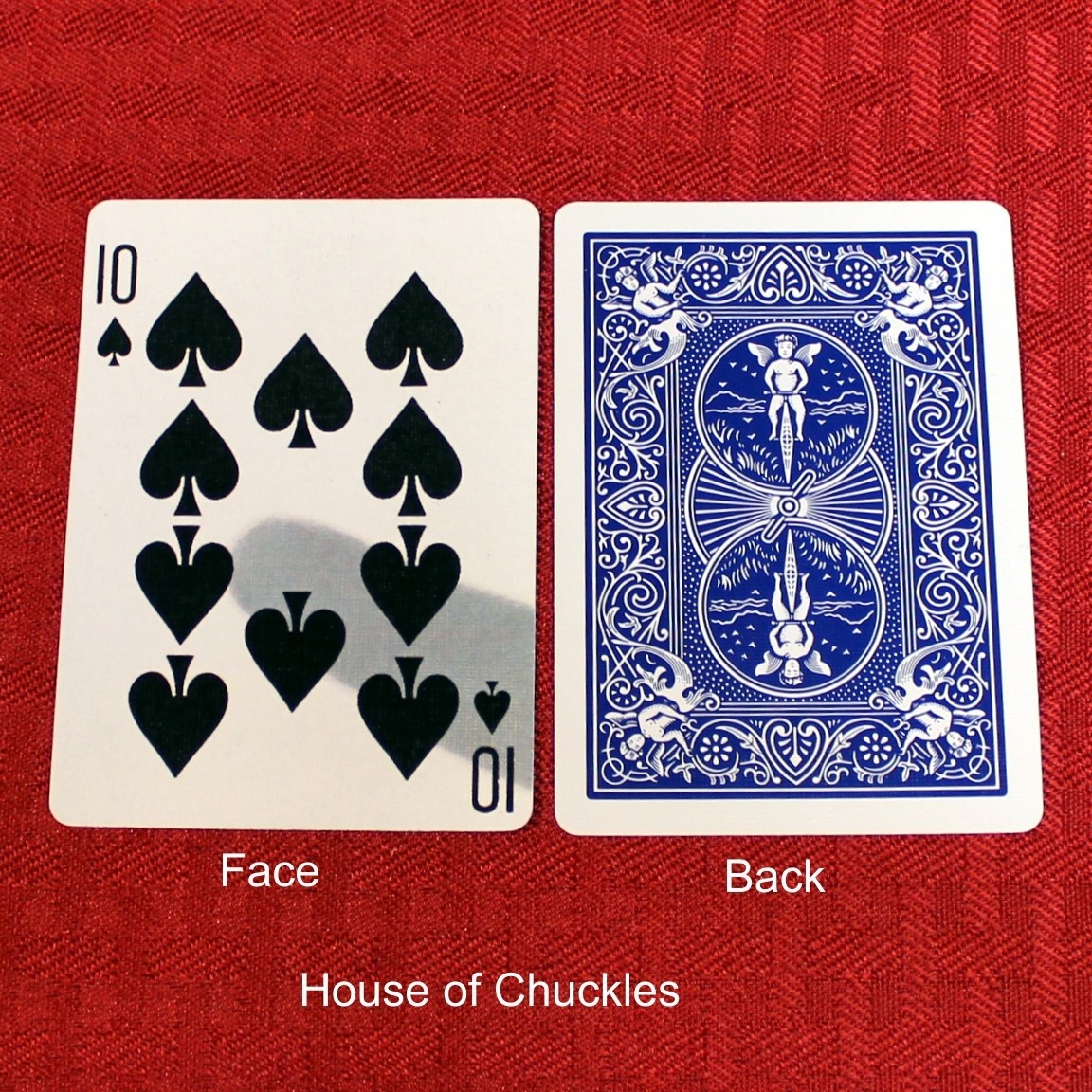 10 of Spades / Thermal Fingerprint, Bicycle Printed Gaff Card, Blue