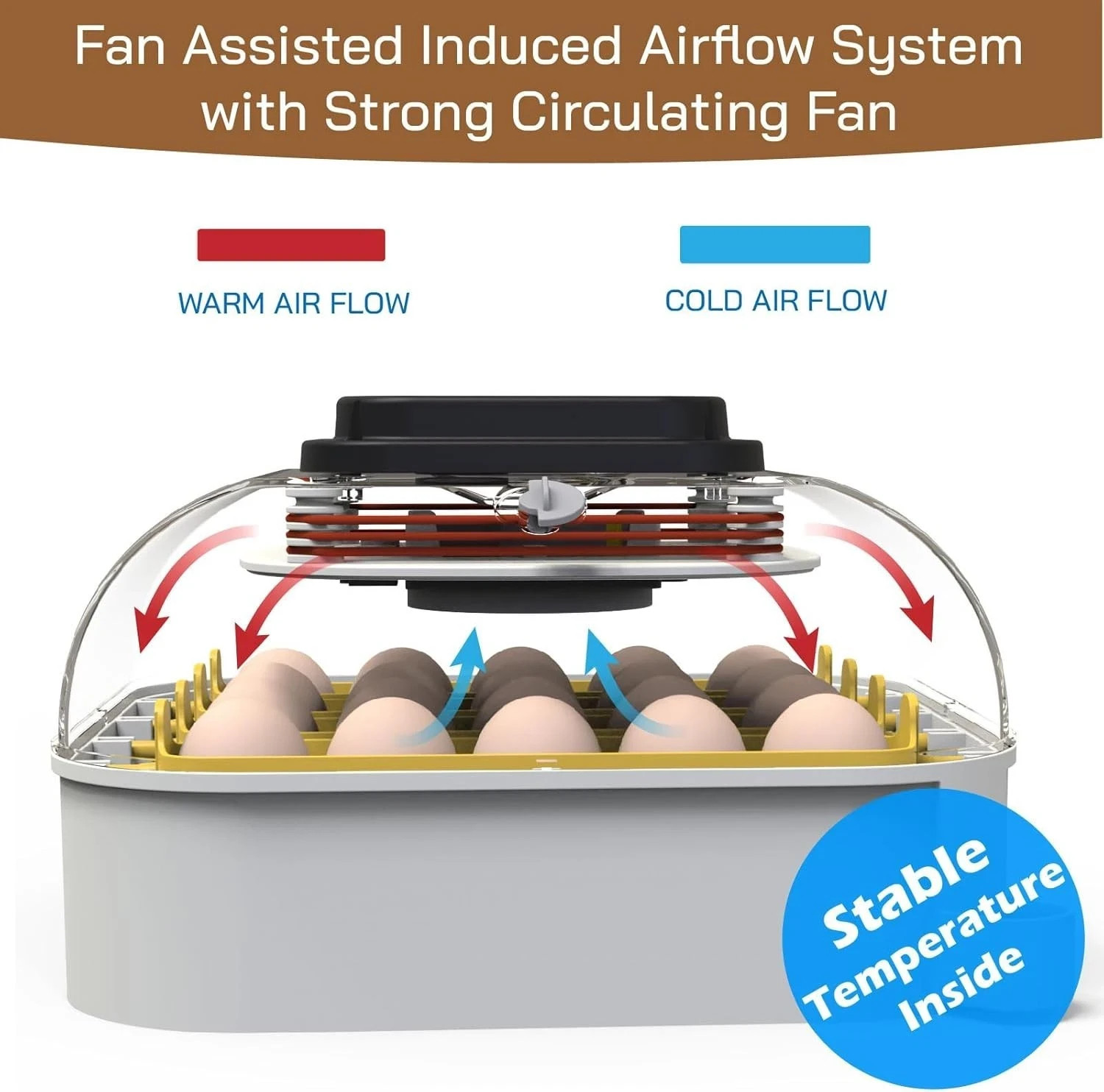 MATICOOPX 20 Egg Incubator with Humidity Display Egg Candler Automatic Egg Turne