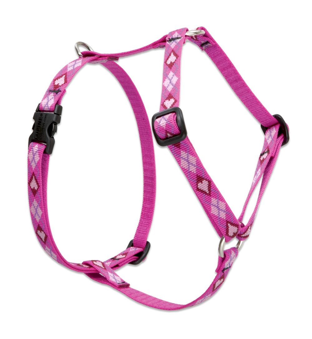LupinePet 1/2" Puppy Love Adjustable Roman Harness, 12-20", Small Dogs, Nylon