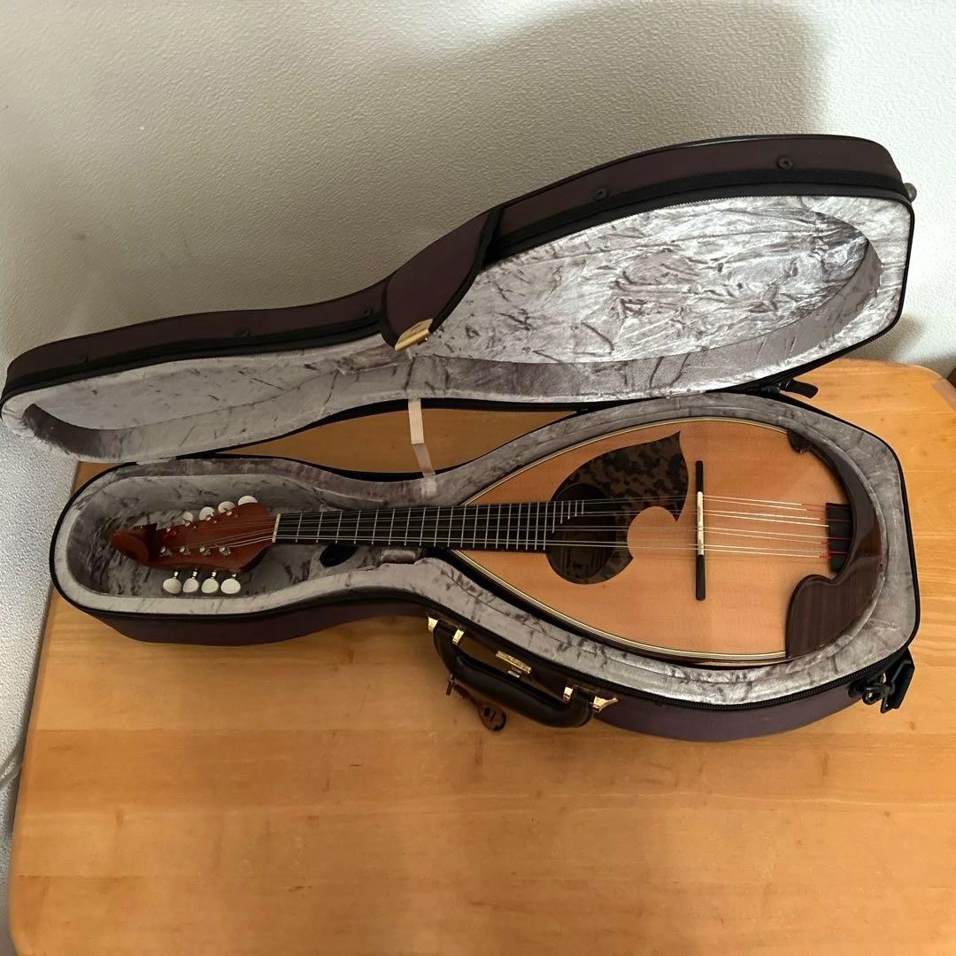 Noguchi Mandolin "SA Mandolin Napoli Type" Made in 2015 with case