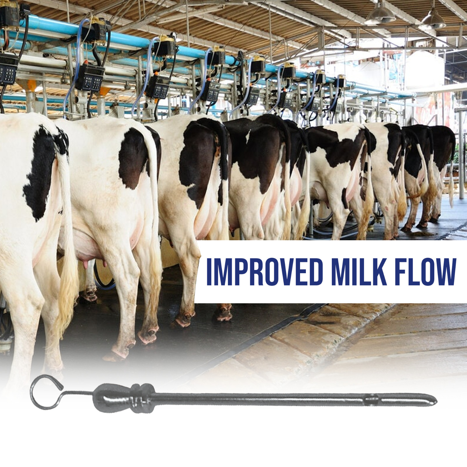 Teat Instruments for Dairy Cows Enhances Milk Flow Milking Tube S.S 4.25"