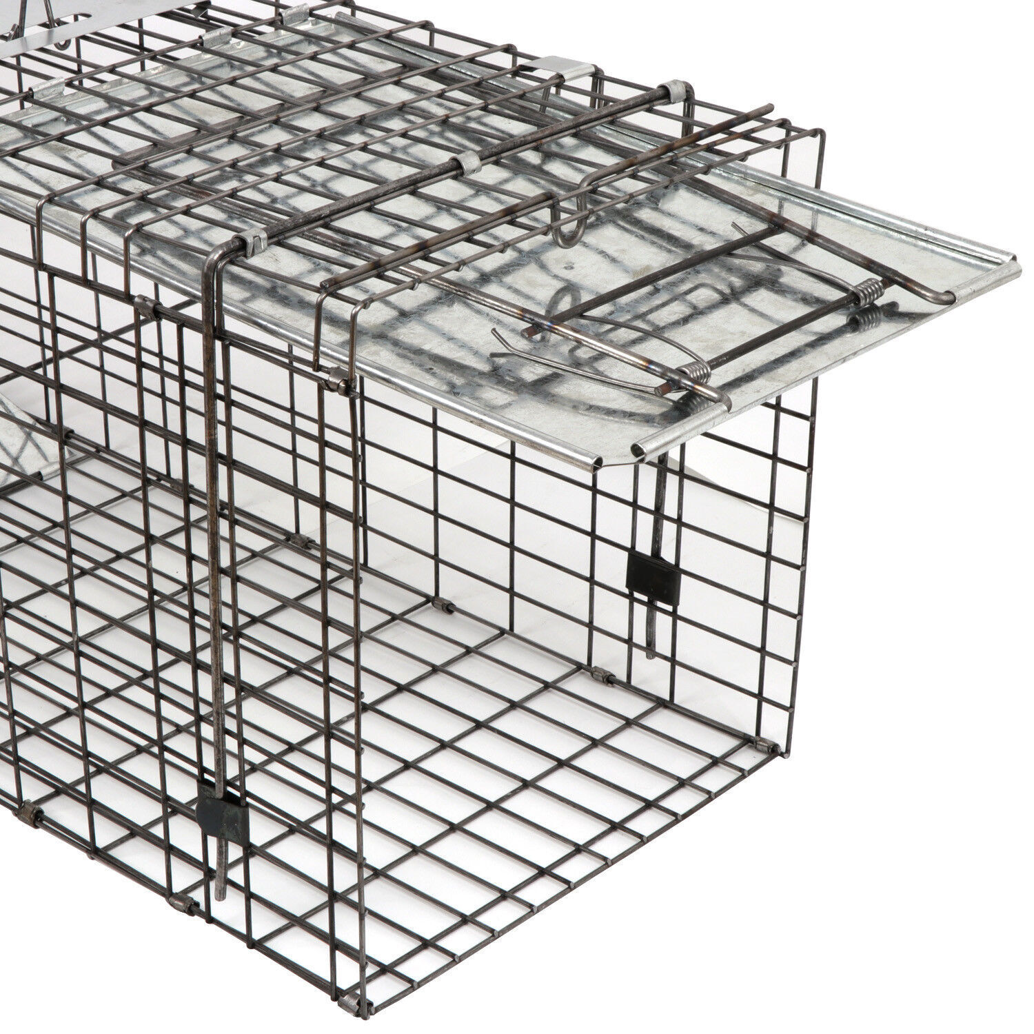 2PCS Humane Catch Release 32" Live Animal Trap for Raccoons Cats w/Iron Door