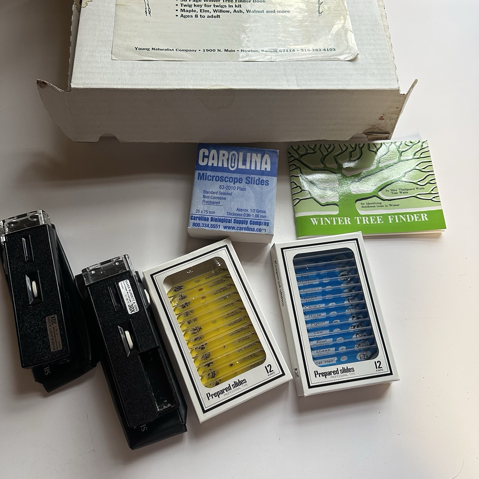 Vintage 70s Twig Identification Kit Tree Microscope Slides Nature