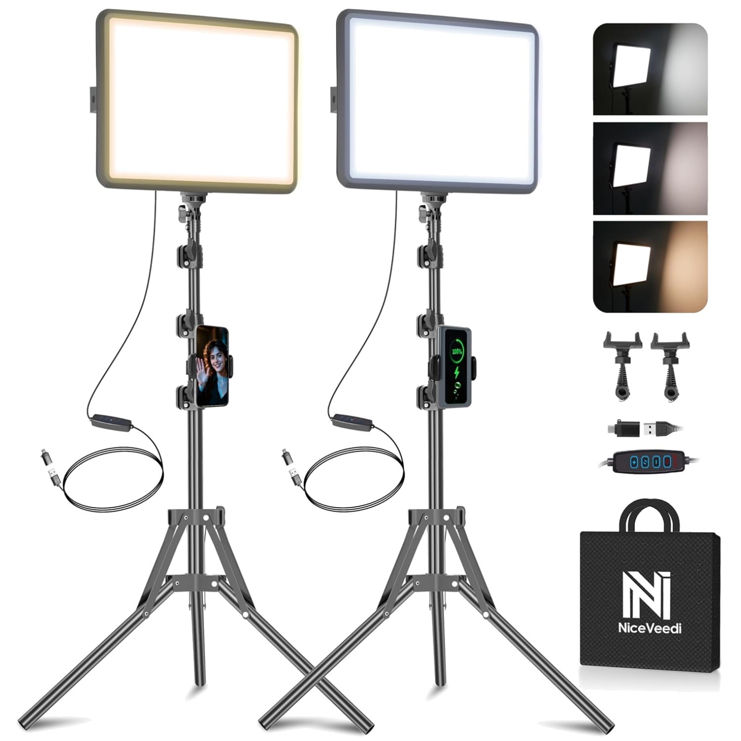 2800-6500K Adjustable LED Lighting Kit with Tripod & Phone Holder - 73"