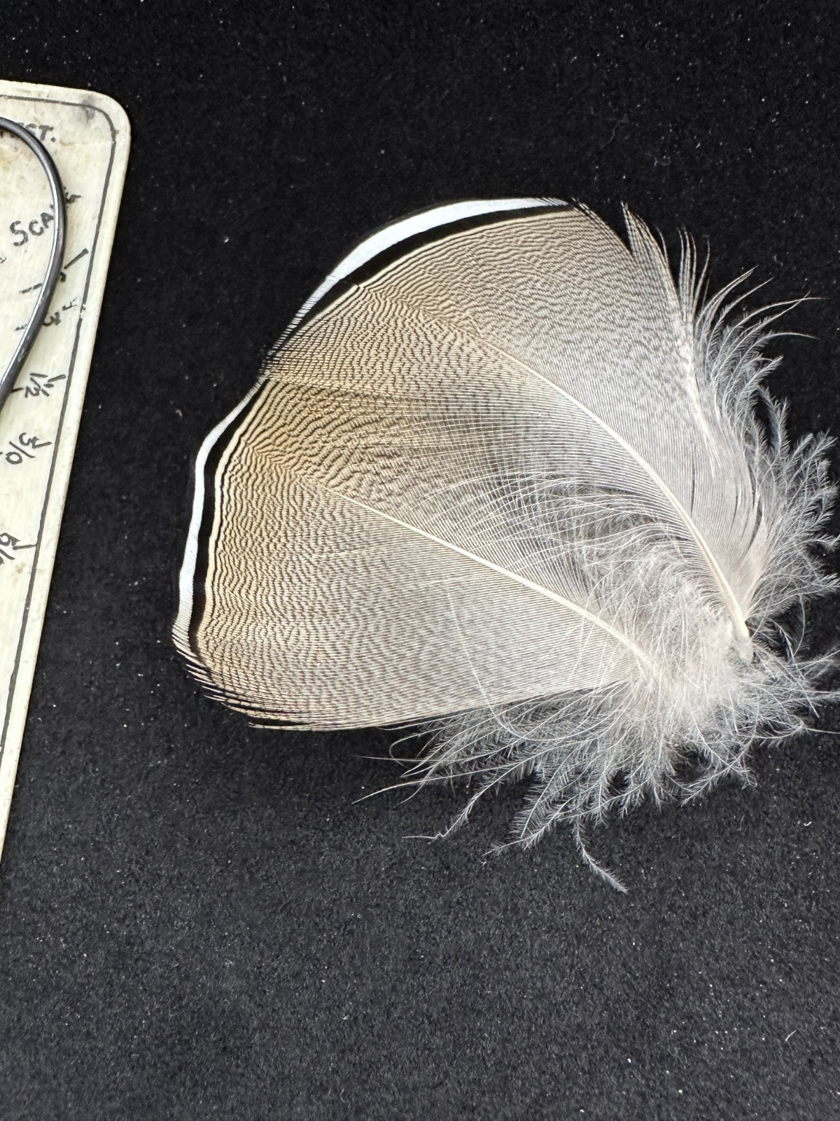 Premium Barred Wood Duck feathers