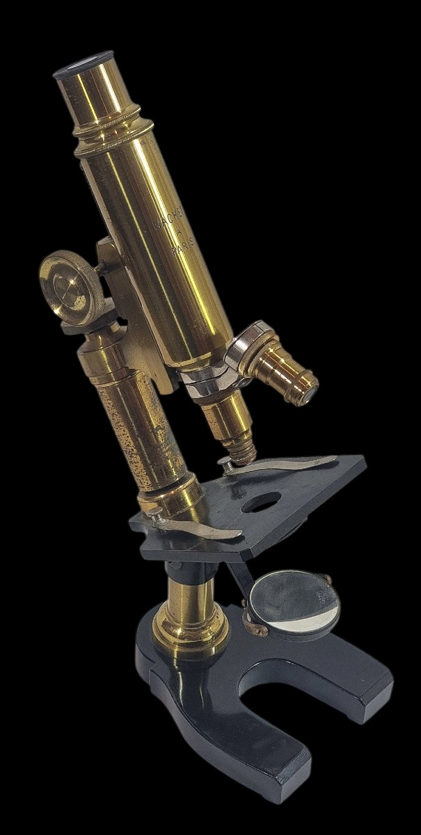 Antique French Microscope Nachet & Fils Paris with Wooden Box & Accessories