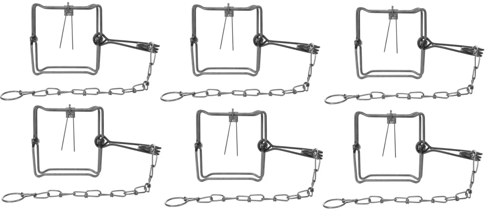6 Bridger 5X5 (#150) Bodygripper Body Grip Animal Trap Trapping Supplies 6 Traps
