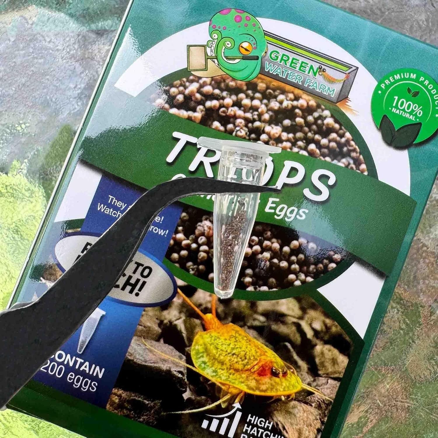 Triops Granarius Eggs for Hatching 200 Count Educational Science Project