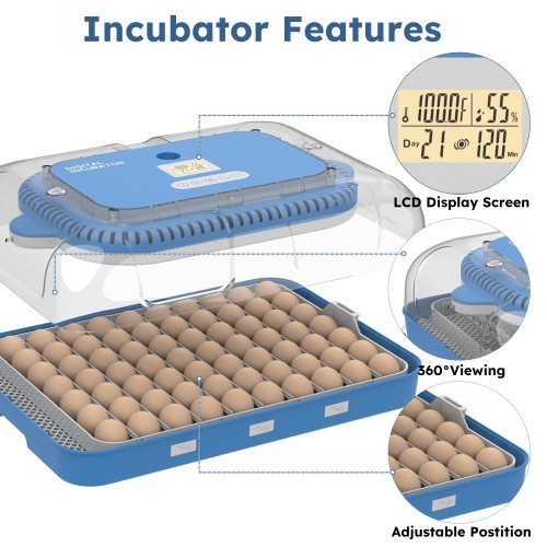 Incubator 70 egg incubators with automatic rotation and temperature control