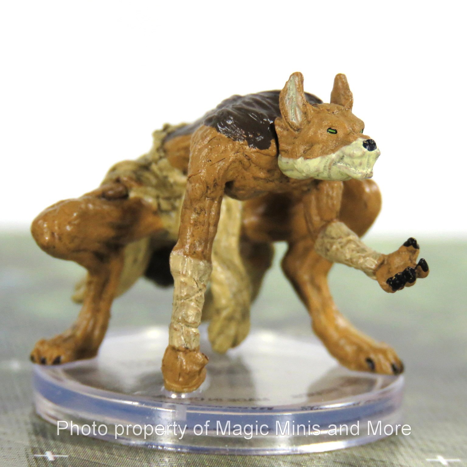 Monster Menagerie Revisited ~ JACKALWERE #12 Icons D&D jackal dog miniature