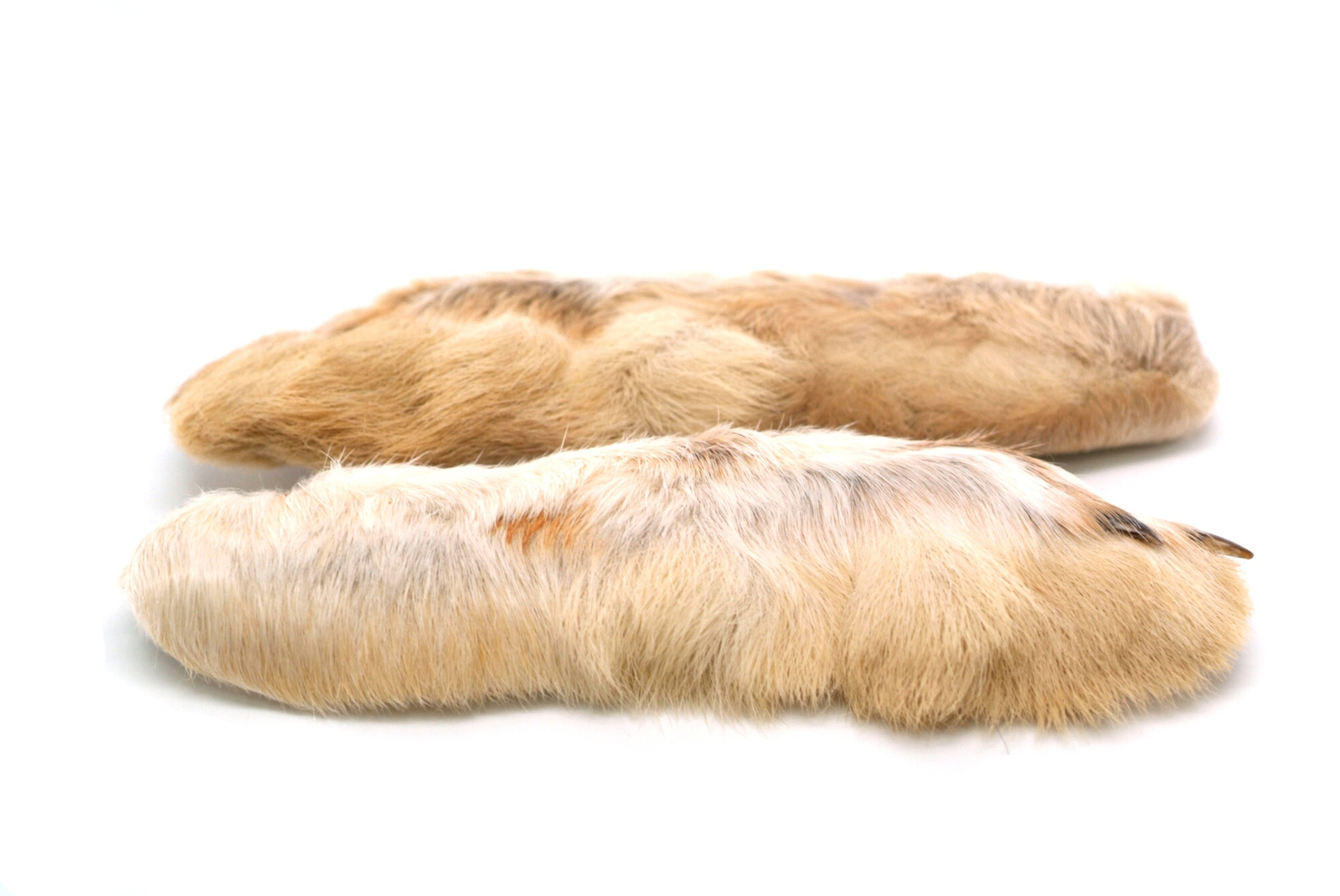 Snowshoe Rabbit Feet - COMBINED SHIPPING IN CART
