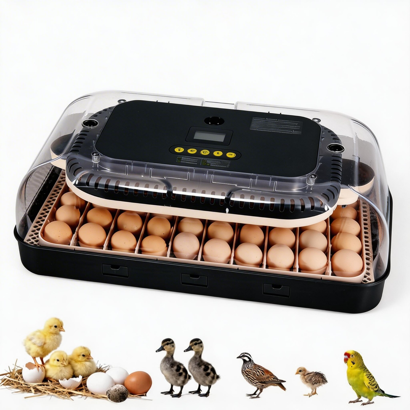 70 Eggs Incubator Automatic Digital Chicken Egg Hatcher Temperature Control NEW