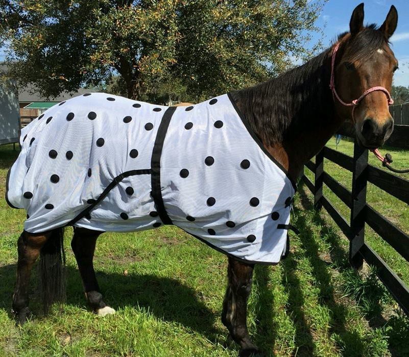 Western or English Saddle Horse Magnetic Therapy Blanket Sheet w/ Magnets sizes