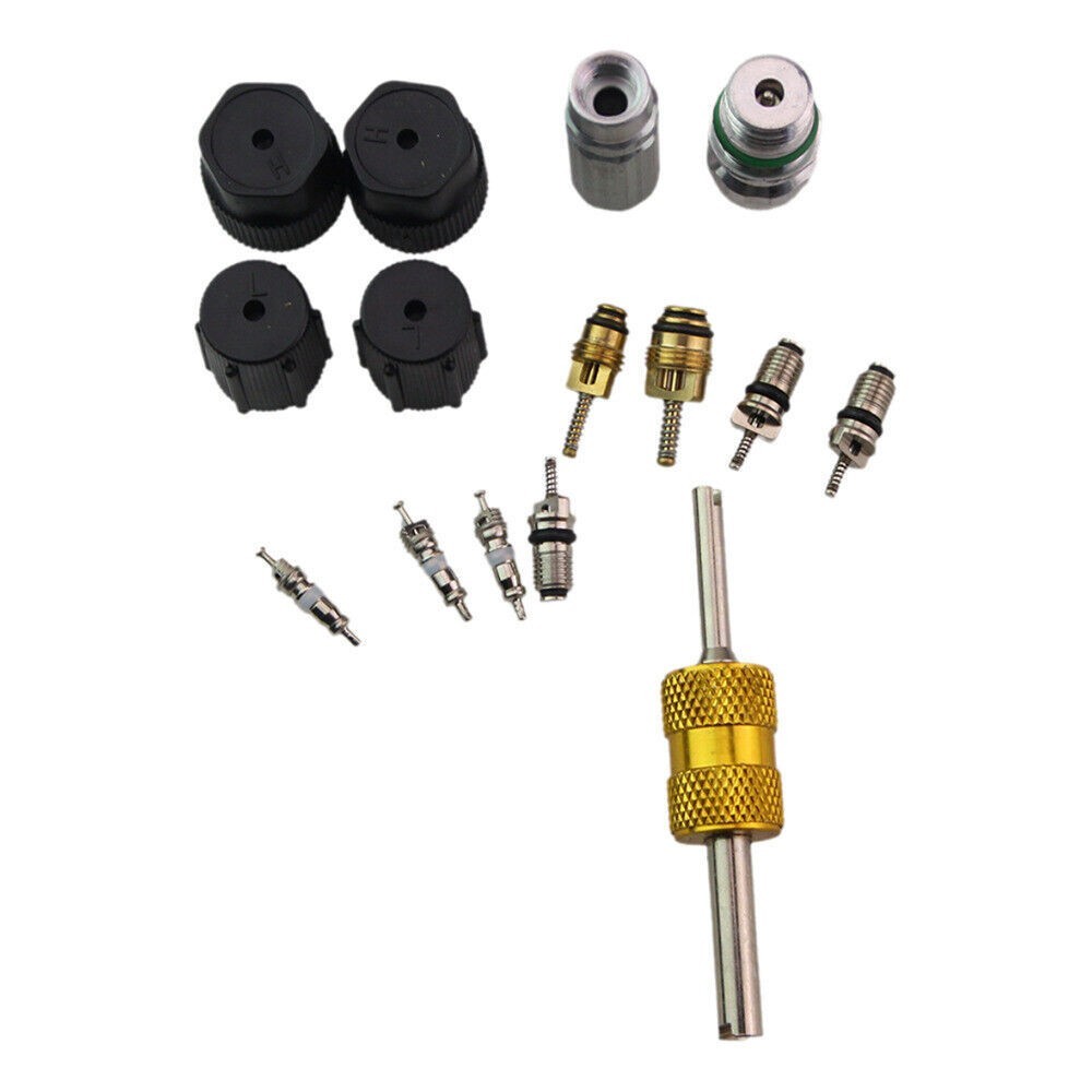 Cap & Valve AC R12 R134a Teflon Seal Refrigera Air Conditioning Valve Core Kit #