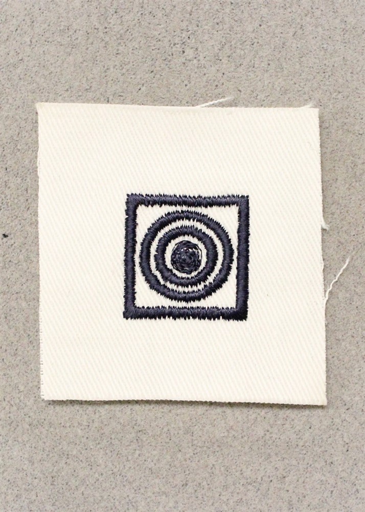 USN Navy Distinguishing Mark 1190: Expert Rifleman