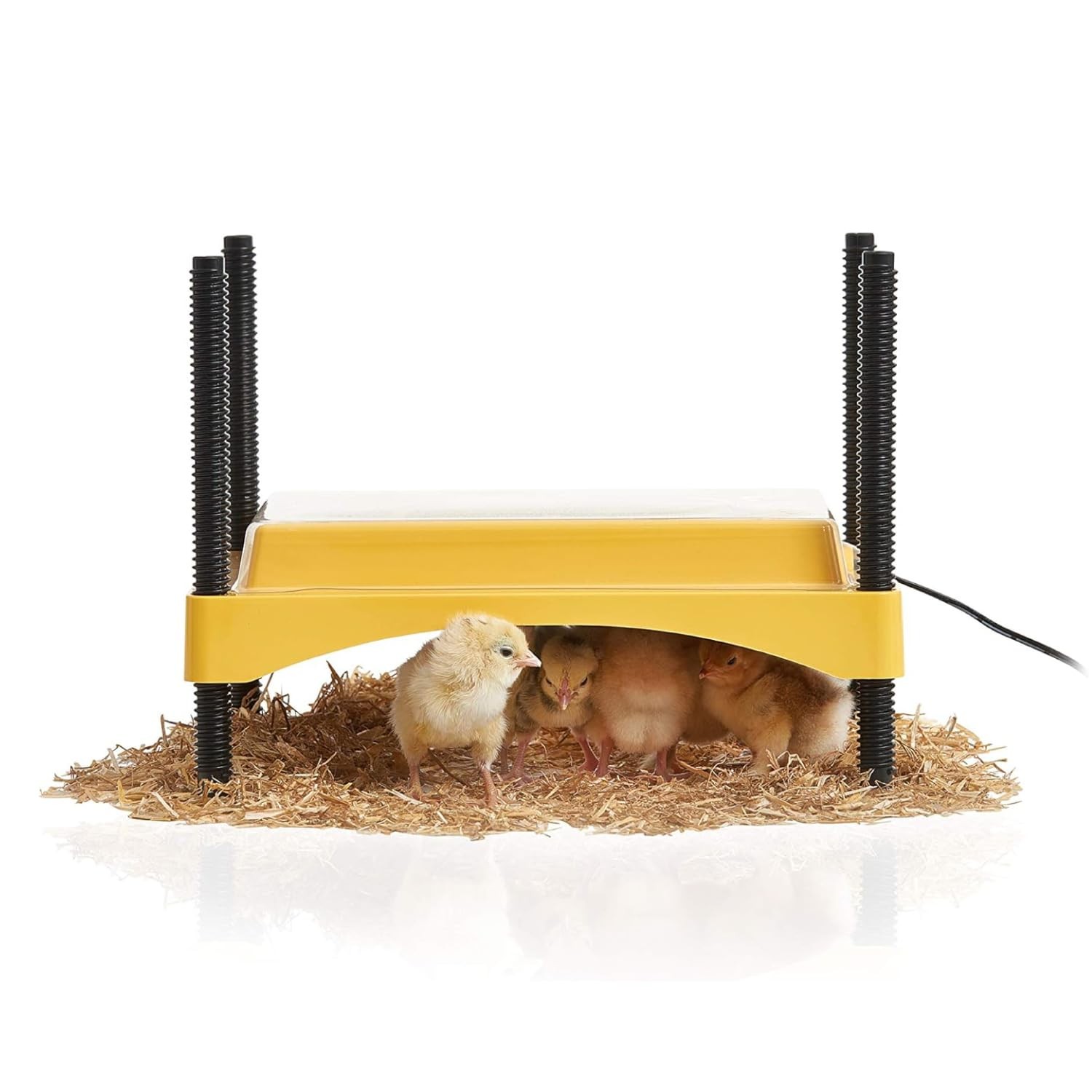 Ecoglow Safety 600 Chick or Duckling Brooder, Adjustable Height & Angle Brood...