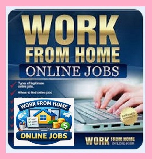 50 Audio&txt Books work from home skills ! internet gold google women job phone