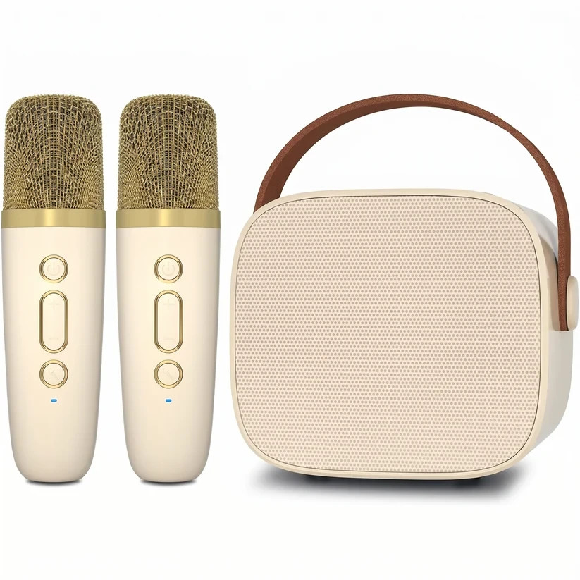 Mini Karaoke Machine with 2 Wireless Microphone Bluetooth Speaker and Adults
