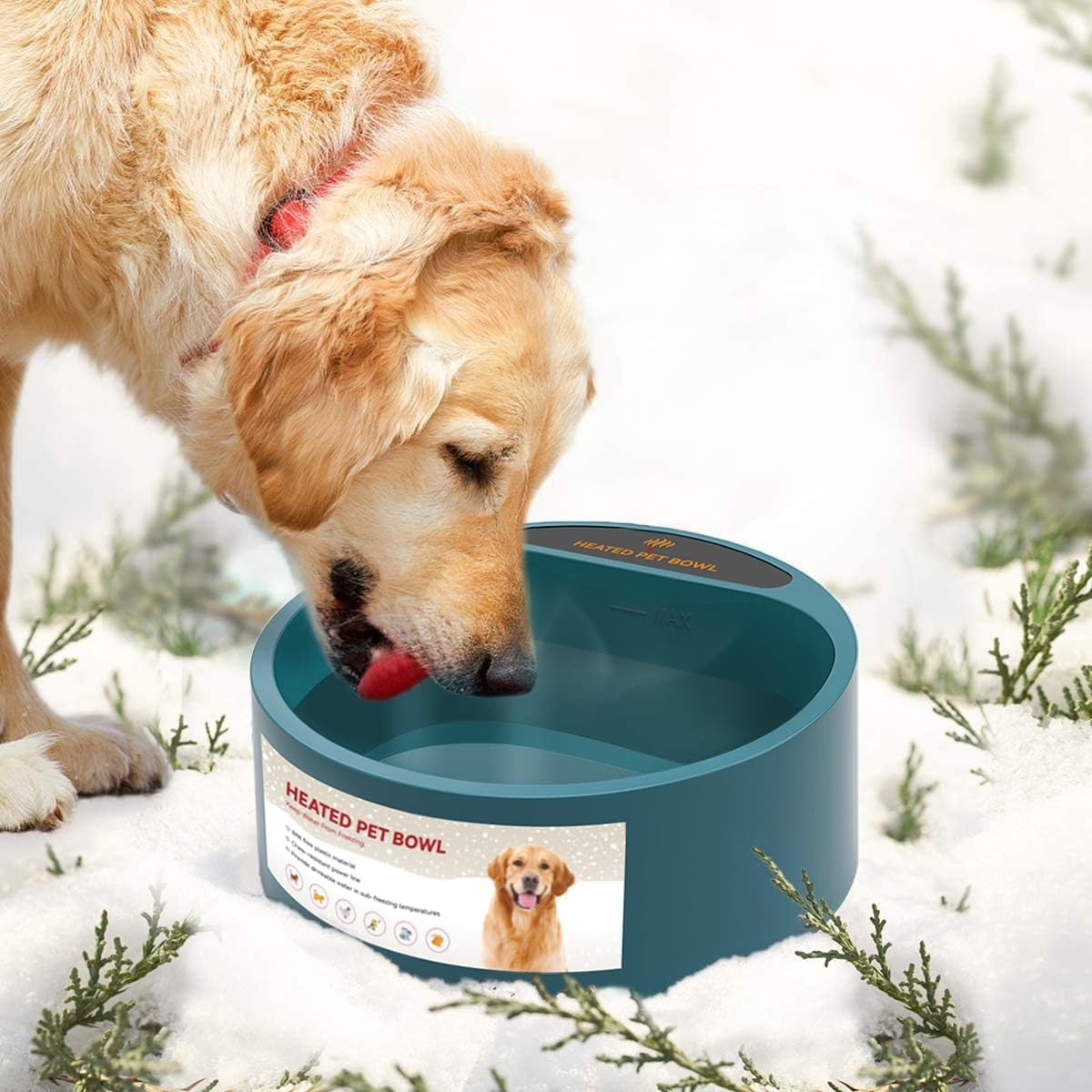 PETLESO Heated Water Bowl 2.2L Dogs Cats Birds Outdoor