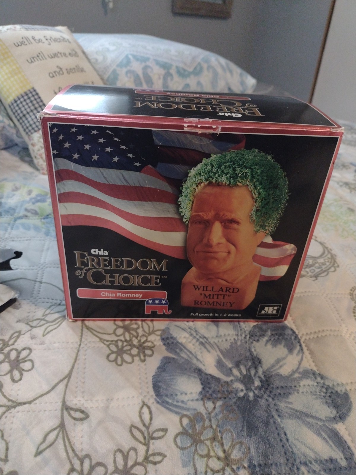 Chia Romney. Never Used But Opened. Perfect Condition.