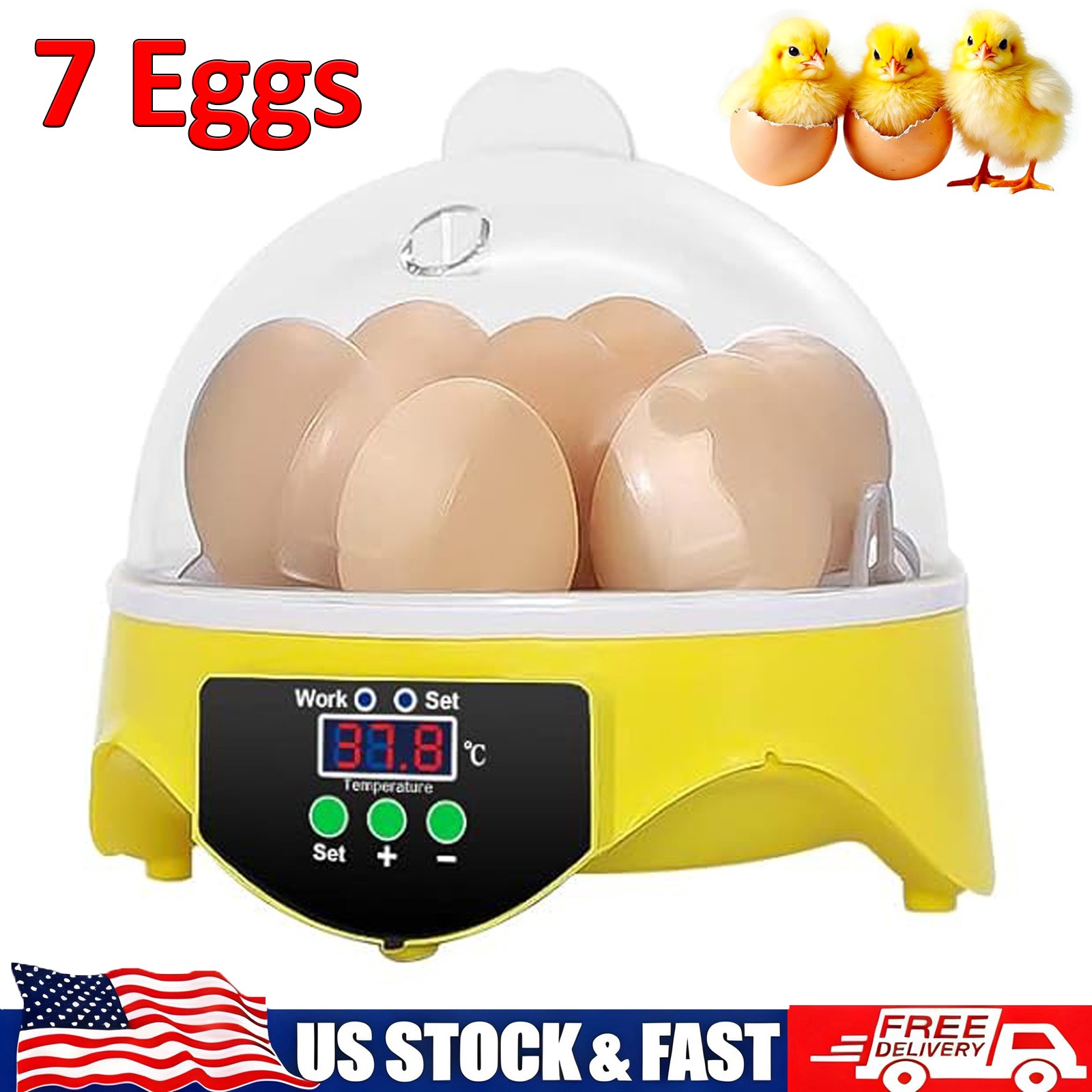 7 Egg Mini Incubator for Kids & Beginners 360° View Manual Temperature Control