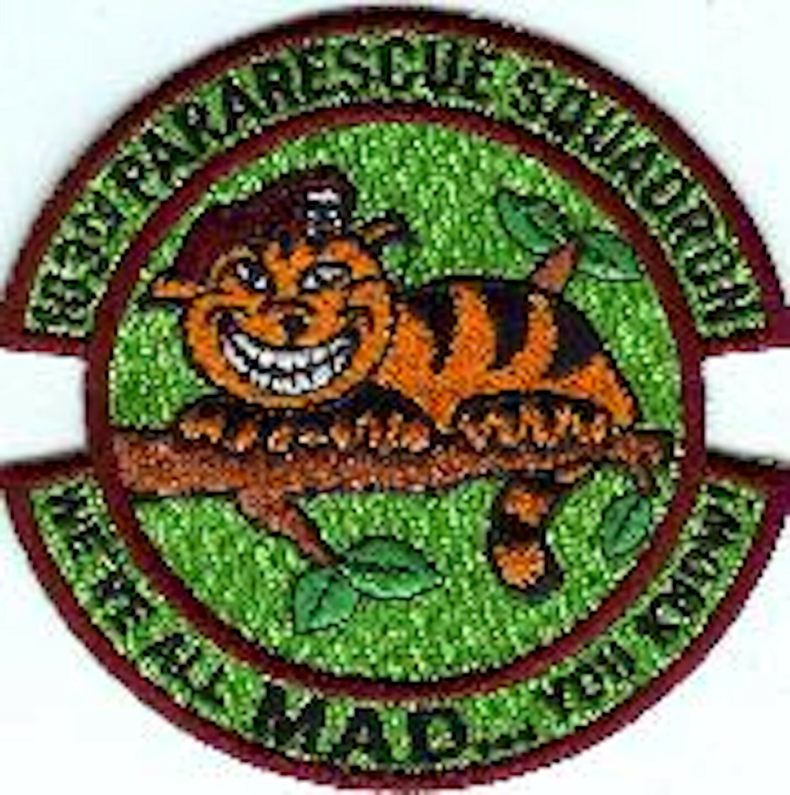 USAF Air Force 103rd Pararescue Squad Mad Green Hook &  Loop Embroidered Patch