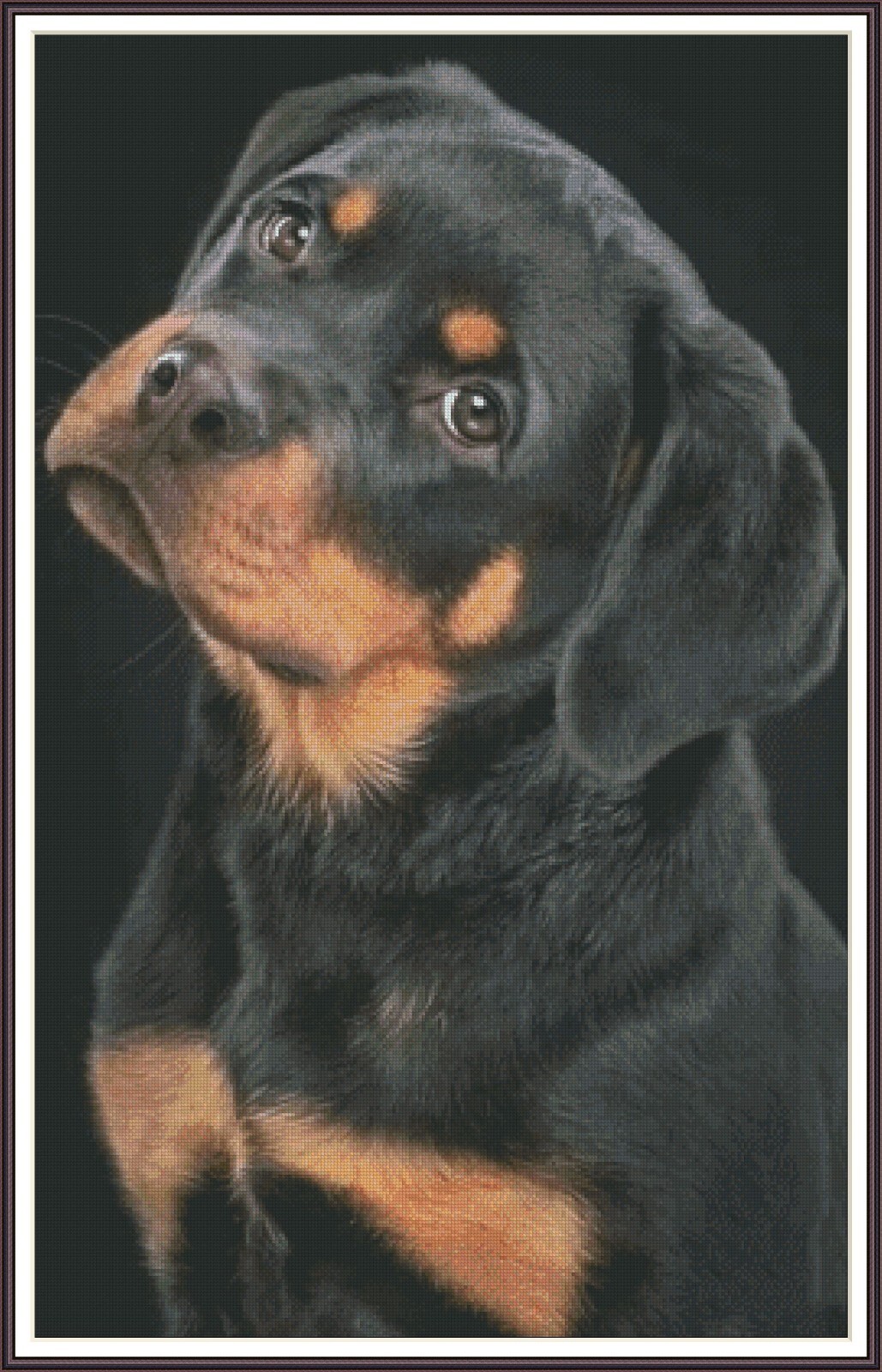 Rottweiler -Portrait 1207 - Chart Counted Cross Stitch Pattern craft