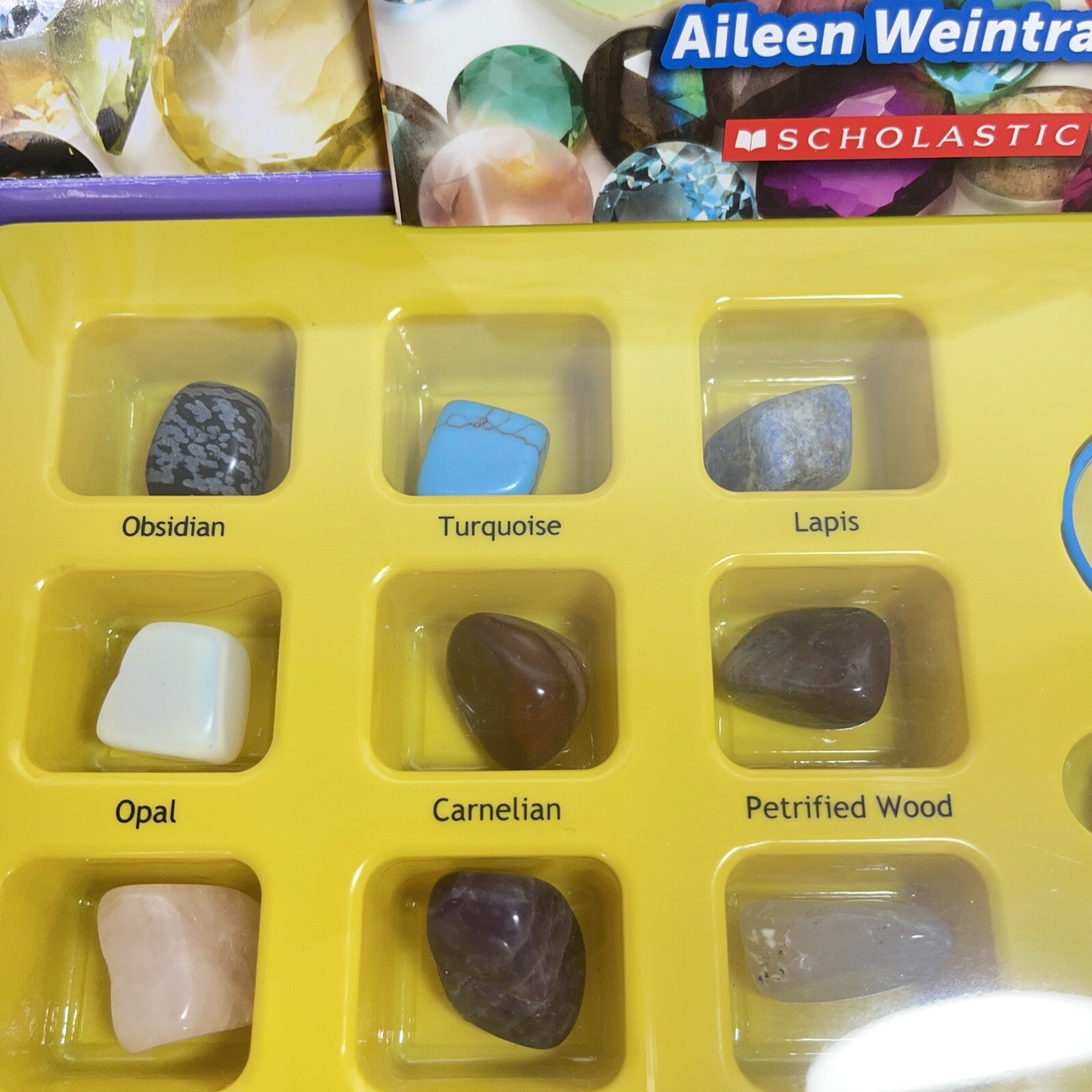Junior Gemologist Scholastic Kit • 9 Real Gemstones Rocks Minerals + Book