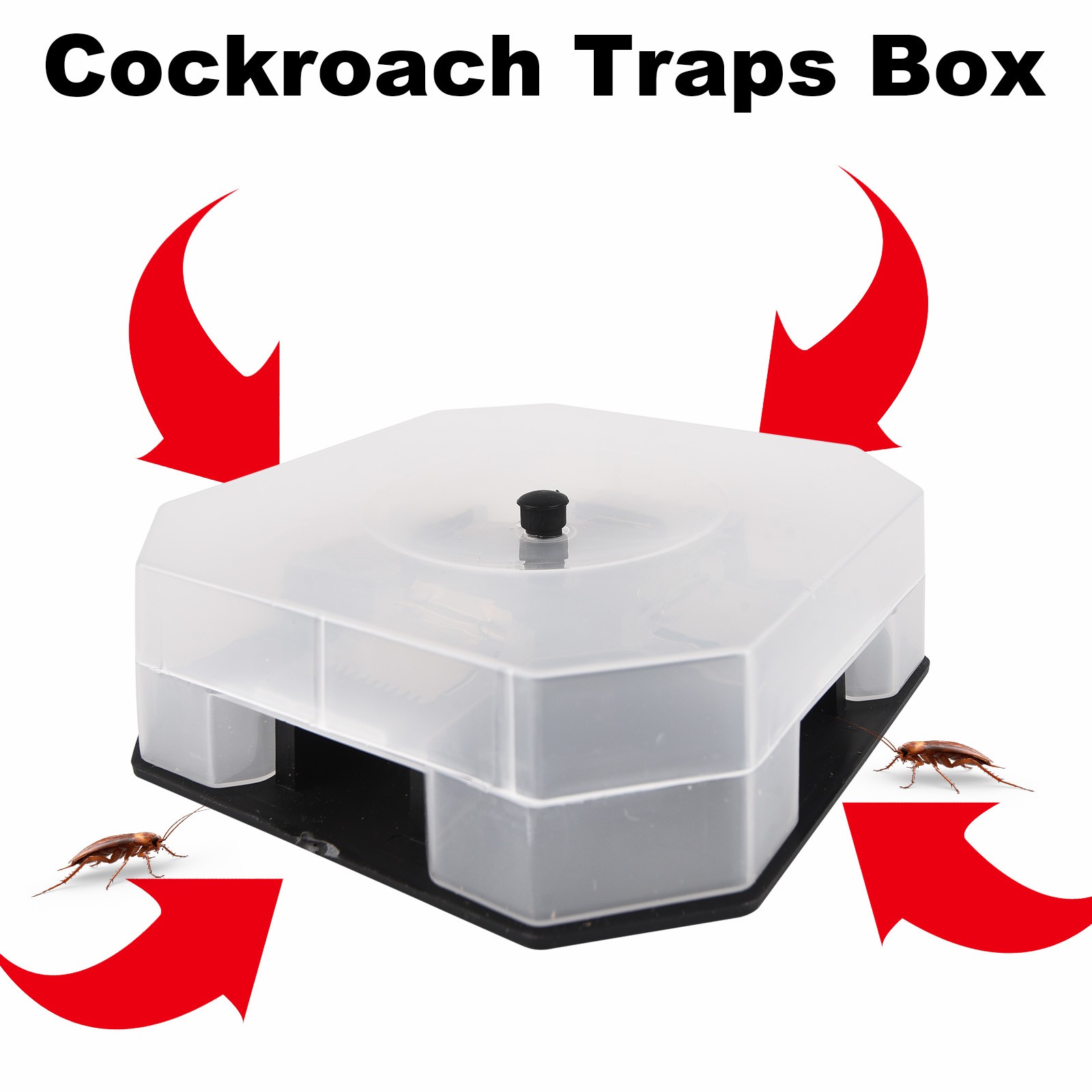 Cockroach Trap Box Reusable Eco-Friendly Roach Catcher Trap for Indoor Kitchen
