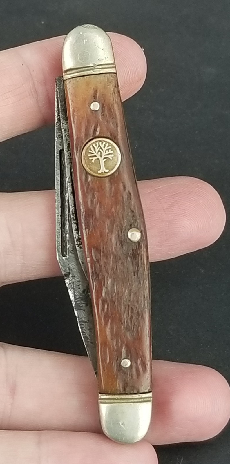 vintage pocket knife 1945-1983 BOKER 8288 USA genuine bone scales!!
