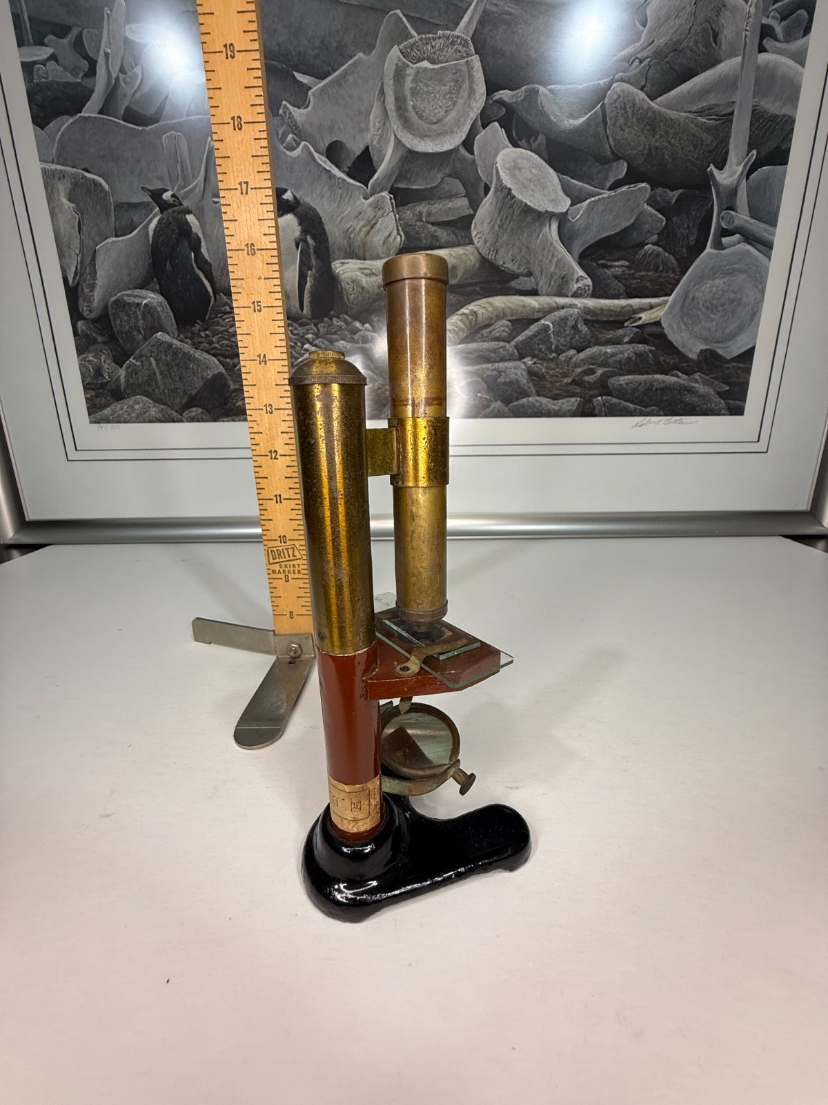 Pre 1900 Japanese 亚洲 Rare Microscope 显微镜 古董