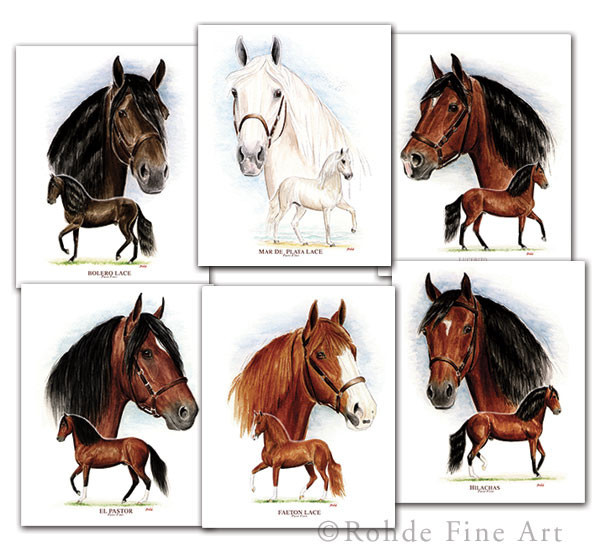 PASO FINO HORSE EQUINE ART set of 6 FAMOUS STALLIONS - Rohde - DEAL!