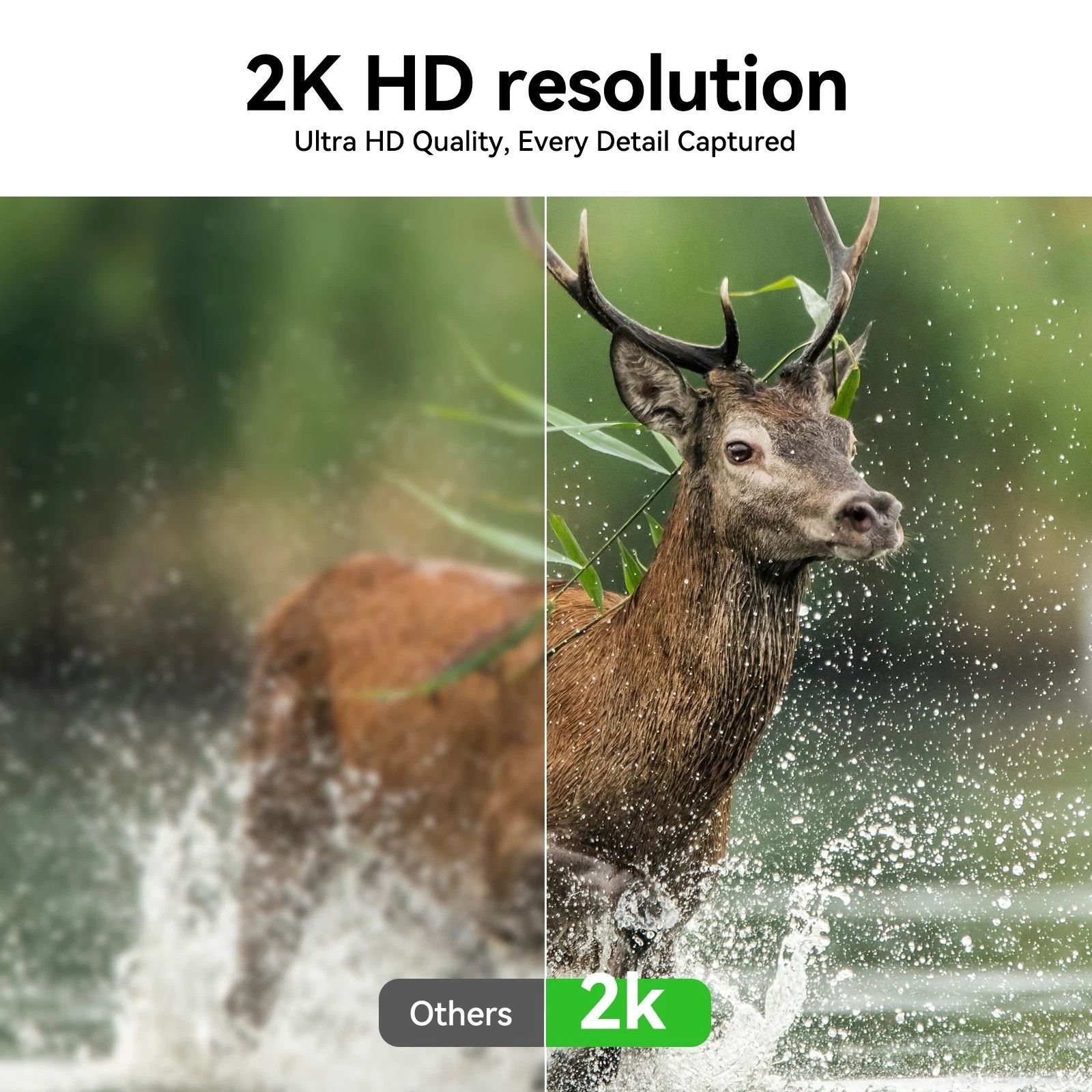 4G LTE Trail Camera Hunting Solar Powered Cellular Security Cam SIM Card 64G
