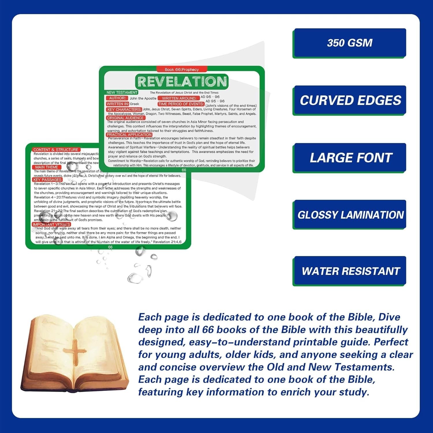 KJV Bible, 66 Books Flash Cards